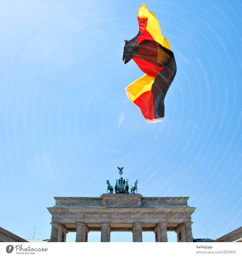 don´t cry for me argentina Hauptstadt Sehenswürdigkeit Stolz Deutschland Brandenburger Tor Demokratie Tag der Deutschen Einheit Freiheit Politik & Staat