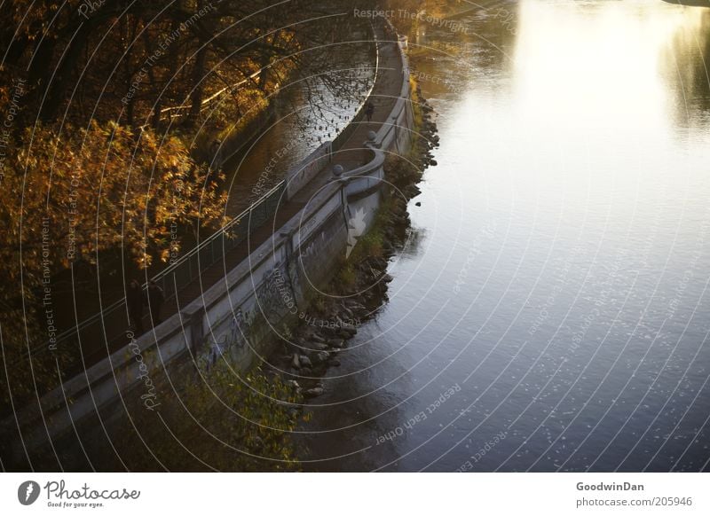 Promise less or do more Umwelt Natur Pflanze Wasser Sonnenlicht Wetter Baum Park einfach Gefühle Stimmung Farbfoto Außenaufnahme Menschenleer Morgendämmerung