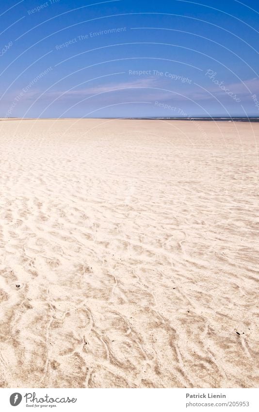 endless beach Umwelt Natur Landschaft Sommer Klima Wetter Schönes Wetter Wind Küste Strand Nordsee Meer Stimmung Leben Muster Freiheit Ferne