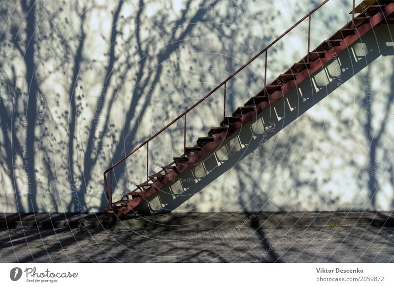 Treppen hoch die Wand mit Schatten Design Haus Kunst Natur Schönes Wetter Baum Blatt Stadtzentrum Gebäude Architektur Fassade Straße Stein Metall Stahl alt weiß