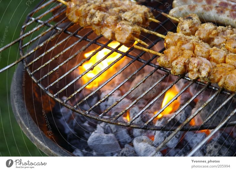 Mittagessen Fleisch Ernährung Abendessen Grillen Grillrost Grillkohle Grillsaison Grillplatz Garten Natur Sommer Feuer spieß grillspieß grillfleisch bbq