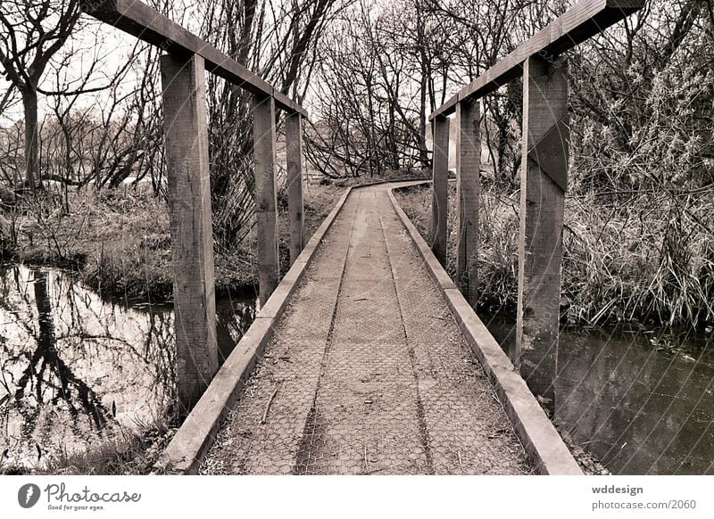 brücke Fototechnik Brücke