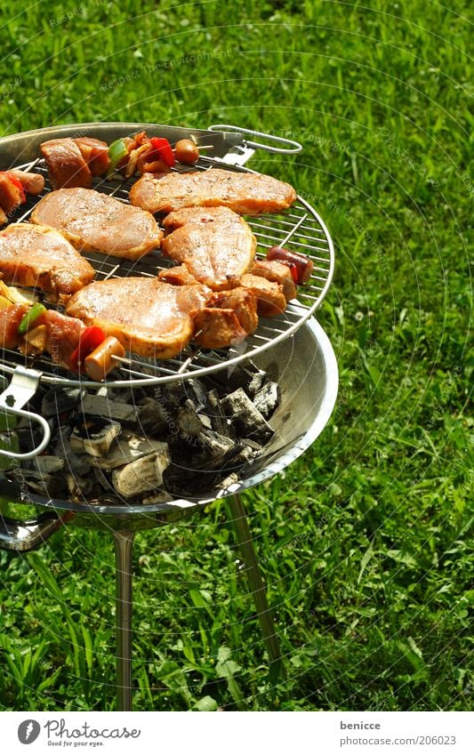 BBQ Griller Grillen bbq Fleisch spieße spießchen Gras silber Menschenleer Ernährung Sommer Außenaufnahme Grillkohle Kohle kohlegrill Feuer heiß