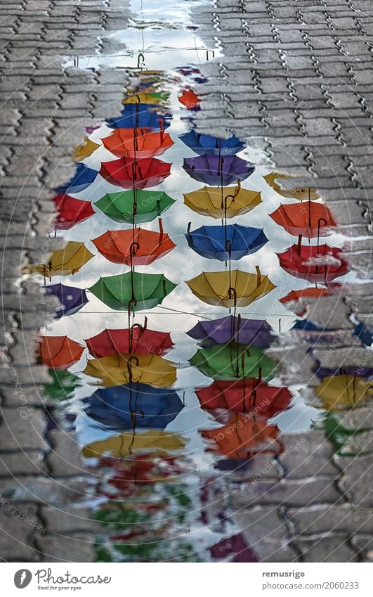 Regenschirme Reflexion in einer Pfütze Ferien & Urlaub & Reisen Tourismus Spiegel Kultur Landschaft Timisoara Rumänien Stadt Gebäude Architektur Straße