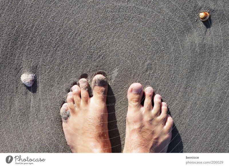 füße im sand Fuß Zehen Strand Meer Ferien & Urlaub & Reisen Gefühle Sand Vogelperspektive Sandstrand Muschel Suche Mann Selbstportrait Urlaubsfoto