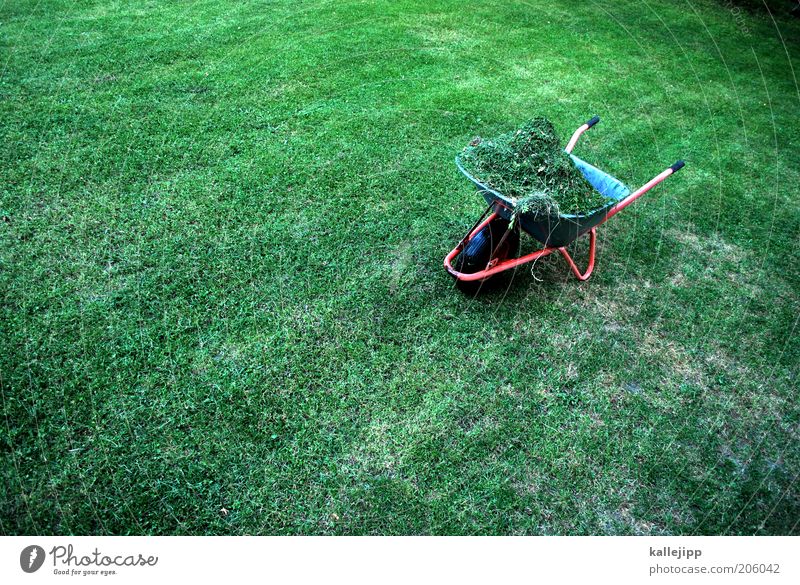 ernte 23 Arbeit & Erwerbstätigkeit Gartenarbeit Umwelt Natur Pflanze Sommer Klima Gras Schubkarre Heu voll Ernte rasenmähen Haufen Farbfoto mehrfarbig