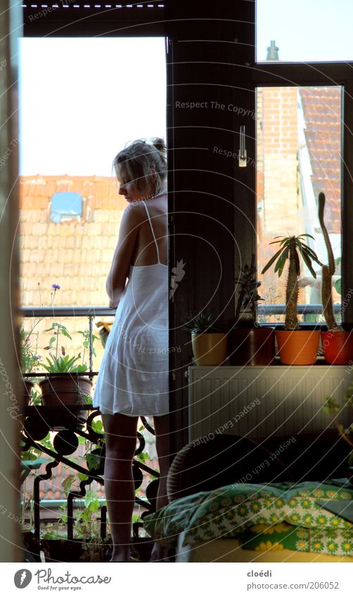 . Sommer Schlafzimmer Frau Erwachsene 1 Mensch 18-30 Jahre Jugendliche Pflanze Kaktus Grünpflanze Topfpflanze Balkon Fenster Dach Kleid beobachten träumen schön