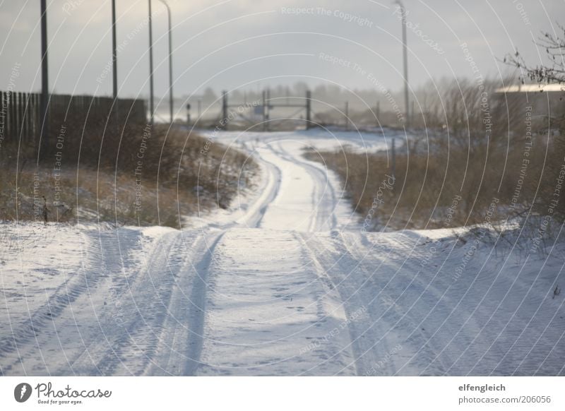 Schneestraße Natur Landschaft Winter Verkehrswege Straße ruhig Sackgasse Tor Zaun Farbfoto Außenaufnahme Menschenleer Tag Licht Schatten Sonnenlicht