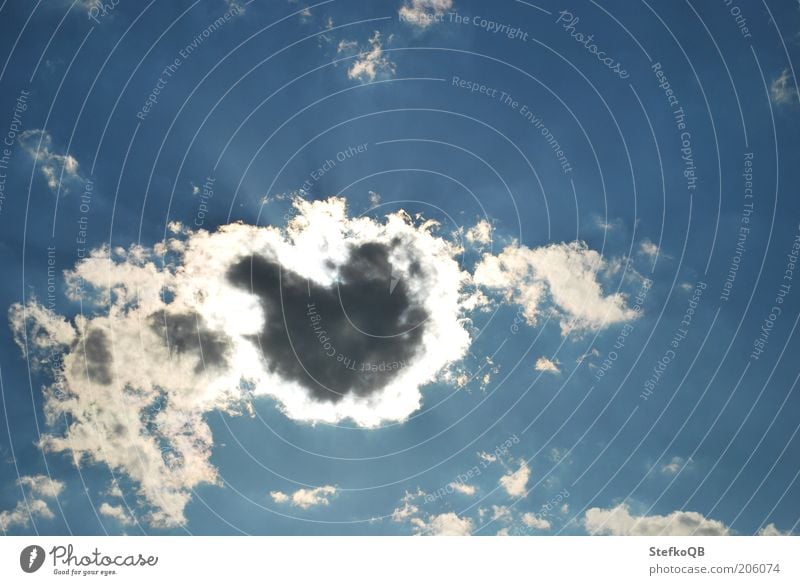 Herzensangelegenheit. Luft Himmel nur Himmel Wolken Sonne Sommer Schönes Wetter Ferne Unendlichkeit blau weiß Fernweh Leichtigkeit stagnierend Farbfoto