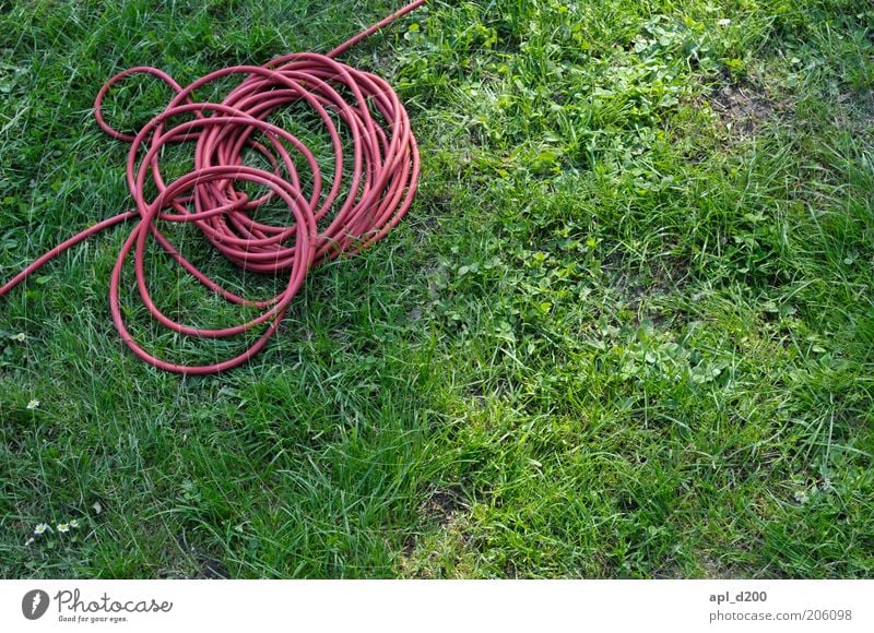 Roter faden Kabel Technik & Technologie Umwelt Garten liegen grün rot Kabelsalat Leitfaden Elektrizität Farbfoto mehrfarbig Außenaufnahme Tag Licht Sonnenlicht