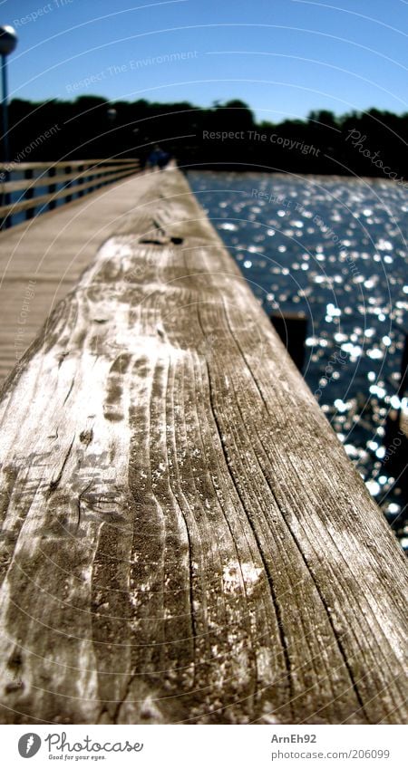 Seebrücke Freiheit Sommer Sonne Meer Wasser Wolkenloser Himmel Schönes Wetter Wärme Küste Ostsee Brücke beobachten Blick Farbfoto Außenaufnahme Makroaufnahme