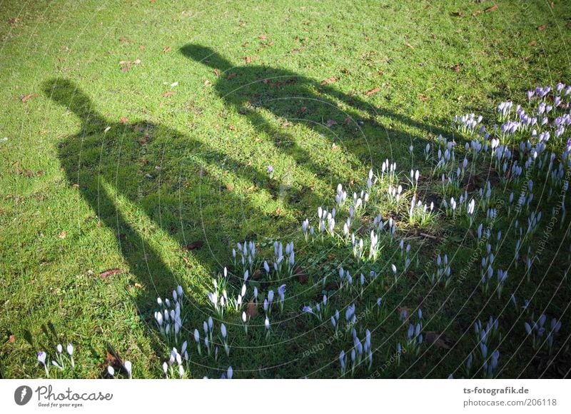 Alien Love Flirten Mensch Erwachsene Leben 2 Natur Frühling Blume Blumenbeet Krokusse Garten Park Wiese Paar Liebespaar grün violett Glück Lebensfreude