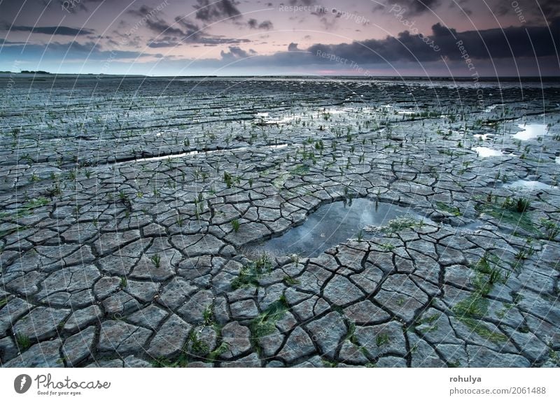 Wadden-Seeküste bei Ebbe Strand Meer Natur Landschaft Himmel Wolken Sonnenaufgang Sonnenuntergang Sommer Wetter Wärme Küste Nordsee dreckig Wattenmeer Gezeiten