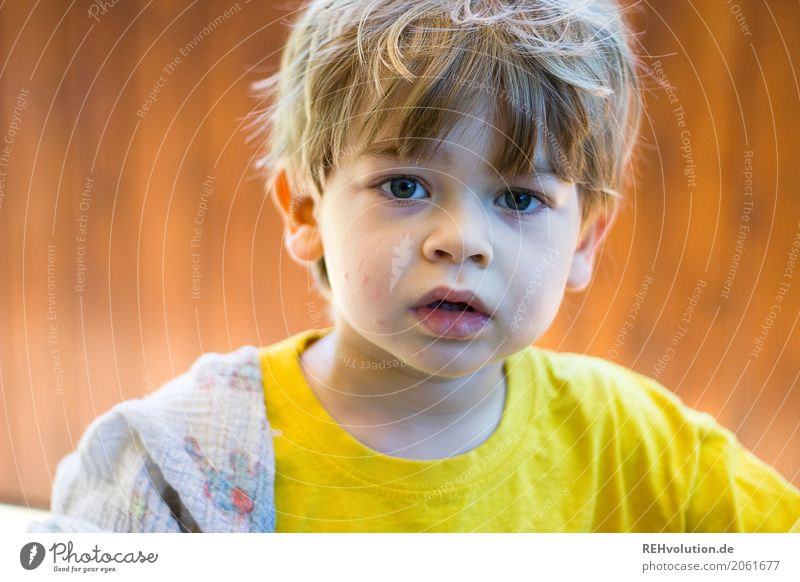 Sommer 2017 Mensch Kind Kleinkind Junge Gesicht 1-3 Jahre T-Shirt authentisch klein natürlich gelb Kindheit Farbfoto Außenaufnahme Nahaufnahme