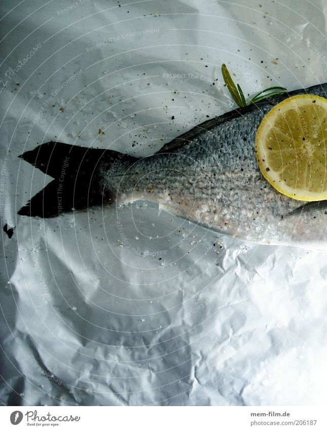 Alu-Fisch Zitrone Dorade kochen & garen Flosse Schwanz gedünstet Aluminium Folie Metallfolie Meer Ernährung Protein Abendessen Festessen Zitronenscheibe