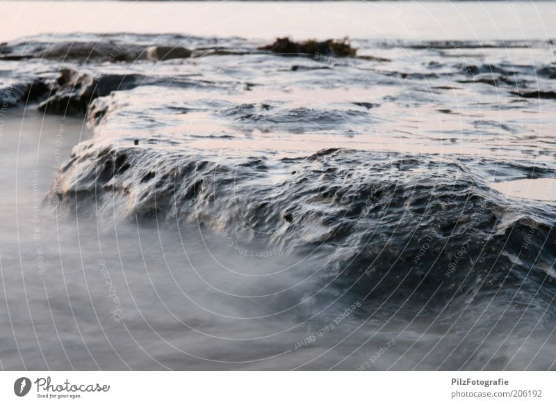 Stein der Weisen Umwelt Sand Wasser Wellen Küste Strand Bucht Riff Meer Mittelmeer außergewöhnlich fantastisch grau Felsen Nebel nass Farbfoto Außenaufnahme