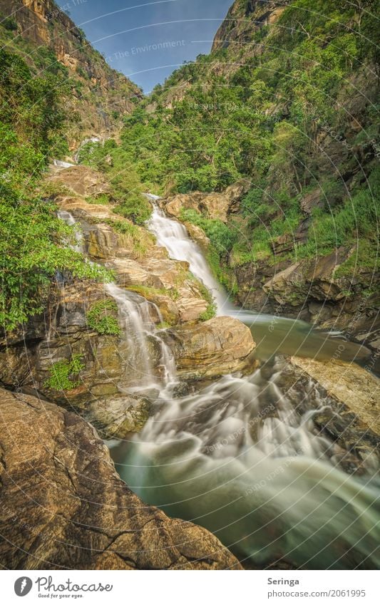 Ramboda Wasserfall in Sri Lanka Freizeit & Hobby Ferien & Urlaub & Reisen Ausflug Abenteuer Expedition wandern Umwelt Natur Landschaft Pflanze Tier Himmel