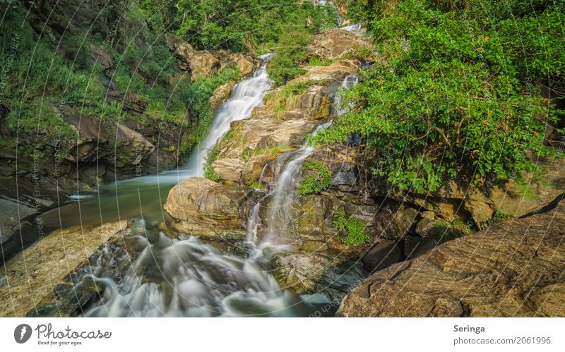 Bergab Ferien & Urlaub & Reisen Tourismus Ausflug Abenteuer Sommerurlaub wandern Umwelt Natur Landschaft Pflanze Tier Frühling Schönes Wetter Wasserfall fallen