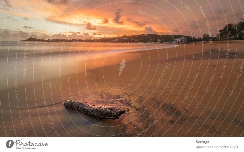 Sonnenuntergangsstimmung Ferien & Urlaub & Reisen Tourismus Abenteuer Ferne Sommer Strand Meer Wellen Umwelt Natur Landschaft Pflanze Tier Sand Wasser Horizont