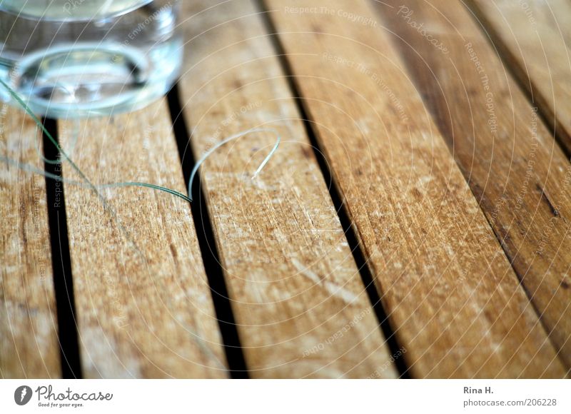 Die kleinen Dinge Gras Glas Halm Teak Holztisch zart filigran Gedeckte Farben Außenaufnahme Schwache Tiefenschärfe Tag