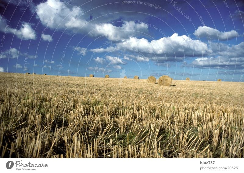 North East 2 Stroh Feld rund gelb Wolken Strohballen Himmel blau