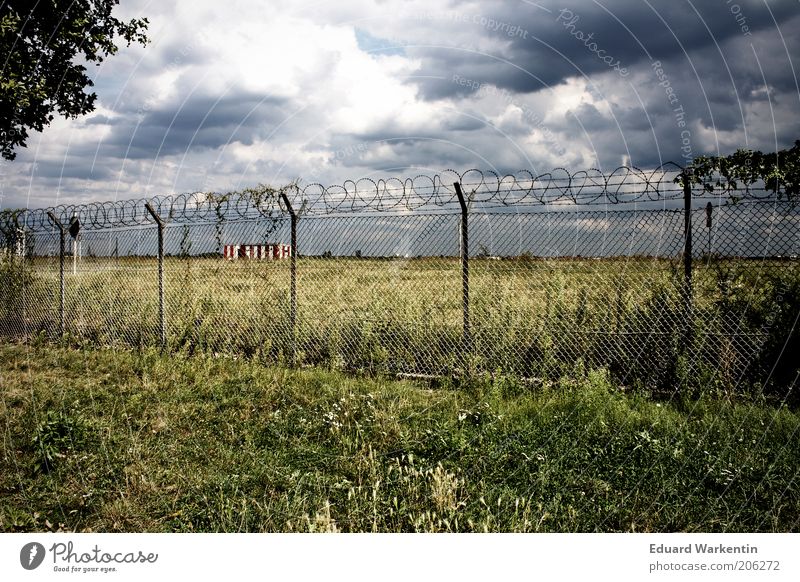 Tempelhof Pflanze Luft Himmel Wolken Gewitterwolken Klima Wetter schlechtes Wetter Gras Berlin Europa Menschenleer Park Flughafen Sehenswürdigkeit blau grau