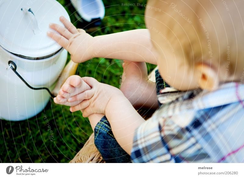 Jungbauer ? Kind Baby Junge Finger Fuß 1 Mensch 0-12 Monate Sommer Garten entdecken festhalten sitzen Glück klein Neugier Leben Interesse Erfahrung Idee