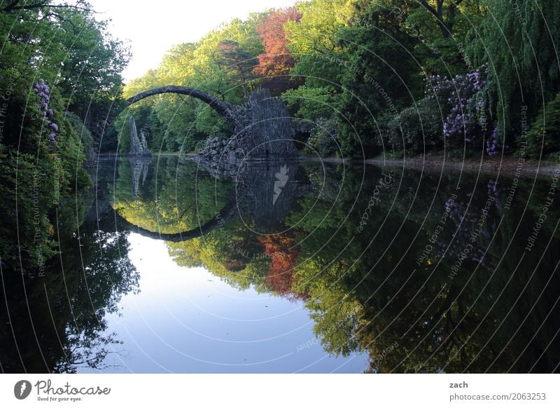 Bitte spiegeln... Natur Wasser Frühling Schönes Wetter Pflanze Baum Blume Sträucher Rhododendron Park Seeufer Teich Kromlau Brücke Rakotzbrücke Teufelsbrücke