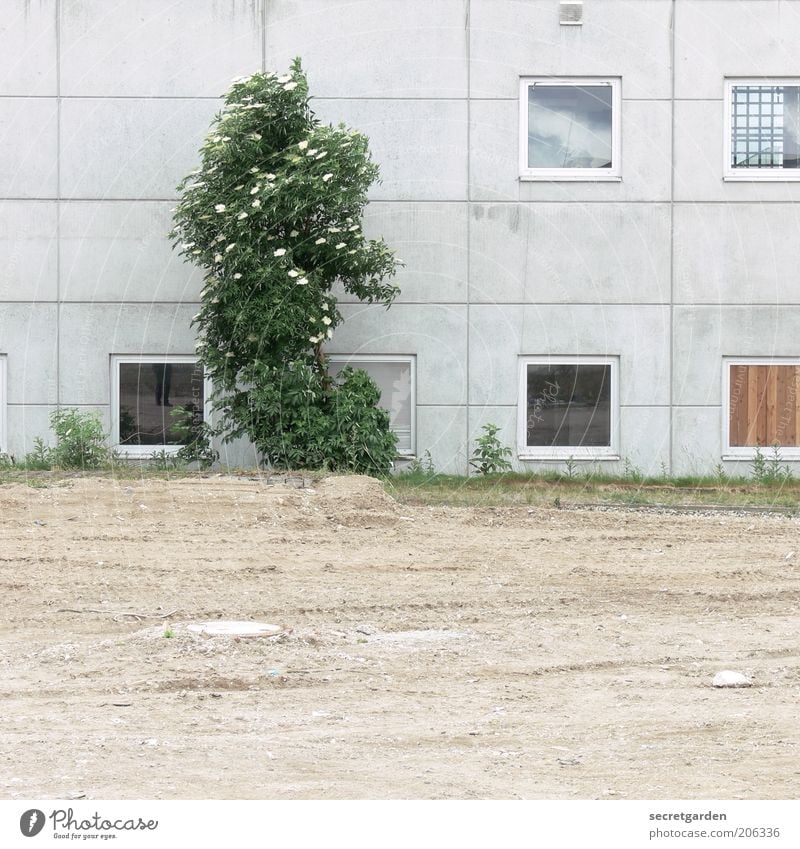 [H 10.1] plattenbau mit halbfertigem pool. Natur Pflanze Erde Frühling Baum Sträucher Grünpflanze Hügel Platz Bauwerk Gebäude Architektur Plattenbau Fassade