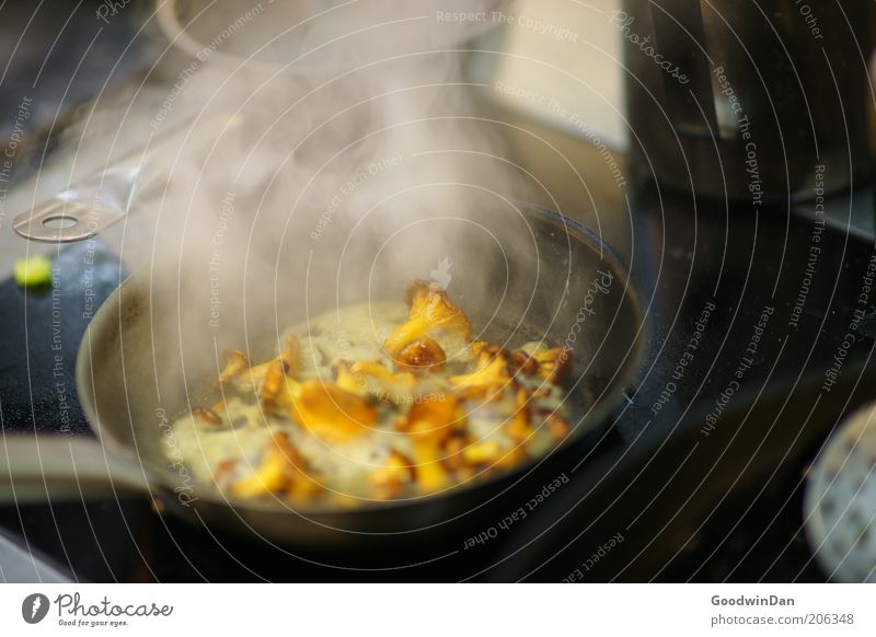 Alltag Lebensmittel Gemüse Pilz Pfifferlinge Ernährung Arbeit & Erwerbstätigkeit Küche Herd & Backofen Pfanne authentisch heiß lecker Wärme Gefühle Tatkraft