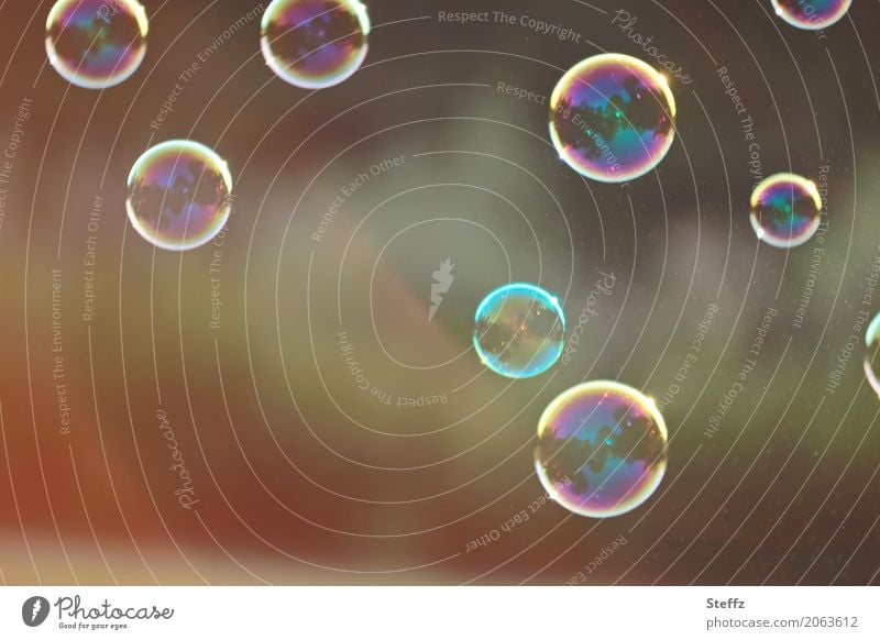 Dank Photocase das hier: Freude Seifenblasen Gartenfest schweben leicht feiern feierlich freudig frei Leichtigkeit Fröhlichkeit lustig unbeschwert