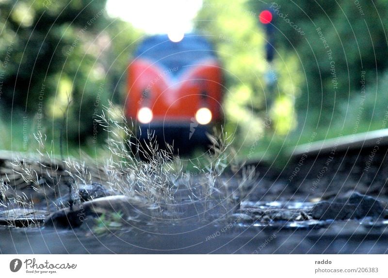 Last Train Pflanze Sträucher Grünpflanze Verkehr Verkehrsmittel Verkehrswege Bahnfahren Schienenverkehr Eisenbahn Lokomotive Güterzug Bahnübergang Gleise Signal