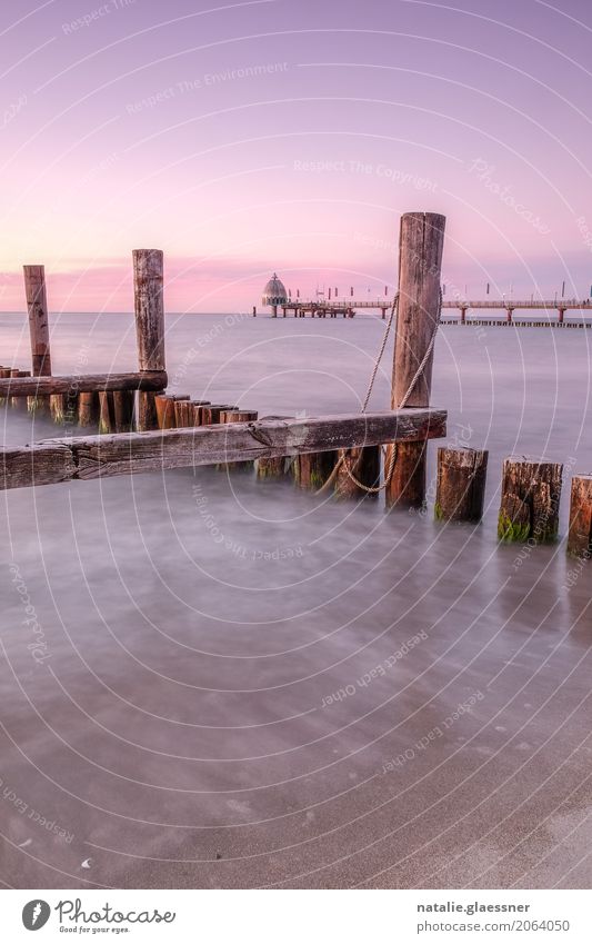 Abends am Strand von Zingst Erholung ruhig Ferien & Urlaub & Reisen Tourismus Meer Natur Landschaft Wasser Wolkenloser Himmel Sonnenaufgang Sonnenuntergang