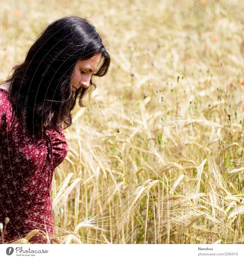 Ein schöner Tag Mensch feminin Frau Erwachsene 1 30-45 Jahre genießen Feld Gerste ländlich Spaziergang Erholung Lebensfreude Sommer Freizeit & Hobby natürlich