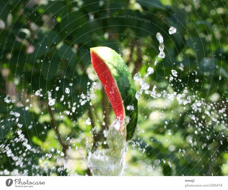 Wassermelone Frucht frisch grün Ernährung spritzen hochwerfen Sommer lecker Farbfoto Außenaufnahme Tag Schwache Tiefenschärfe Wassertropfen Melonenschiffchen