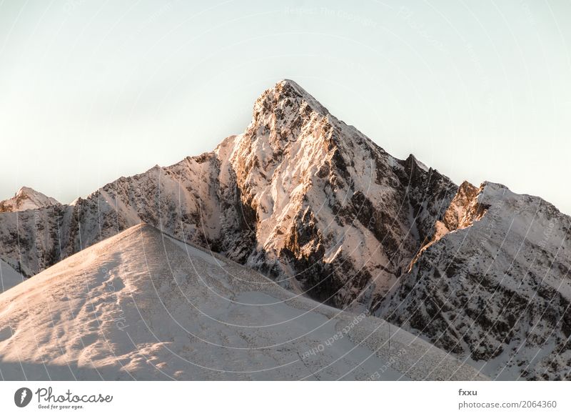 Bergspitze Klettern Bergsteigen wandern Natur Landschaft Wolkenloser Himmel Winter Schönes Wetter Schnee Schneefall Hügel Alpen Berge u. Gebirge Gipfel