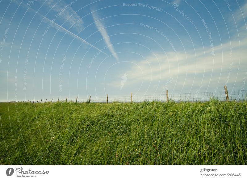 borderline Umwelt Natur Landschaft Himmel Wolken Schönes Wetter Gras Küste Nordsee blau grün Unendlichkeit Zaun Kondensstreifen Streifen Deich Grenze Barriere