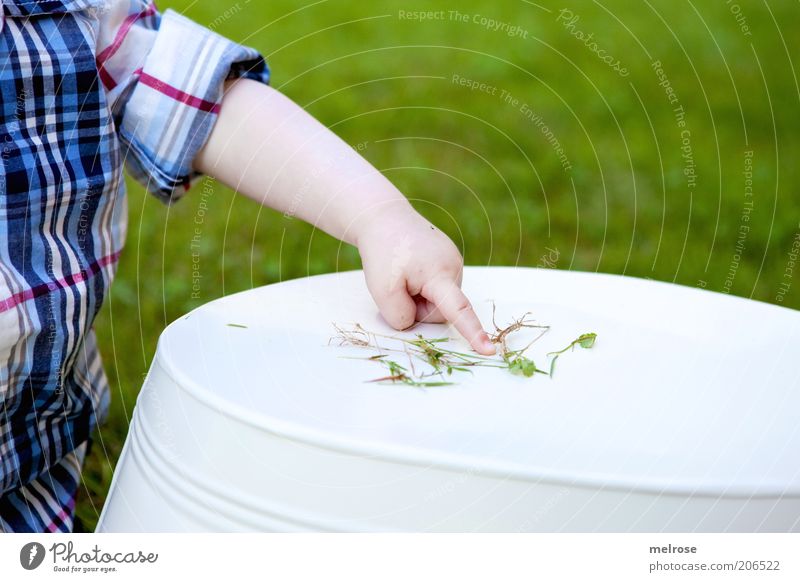 da schau her ... Kind Kleinkind Arme Finger 1 Mensch 0-12 Monate Baby berühren entdecken lernen Neugier Gefühle geduldig Interesse Erfahrung Glück Inspiration