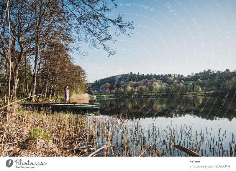 Morgenstimmung am See Lifestyle harmonisch Wohlgefühl Zufriedenheit Erholung ruhig Freizeit & Hobby Ausflug Abenteuer Ferne Freiheit Camping Mensch 1 Natur