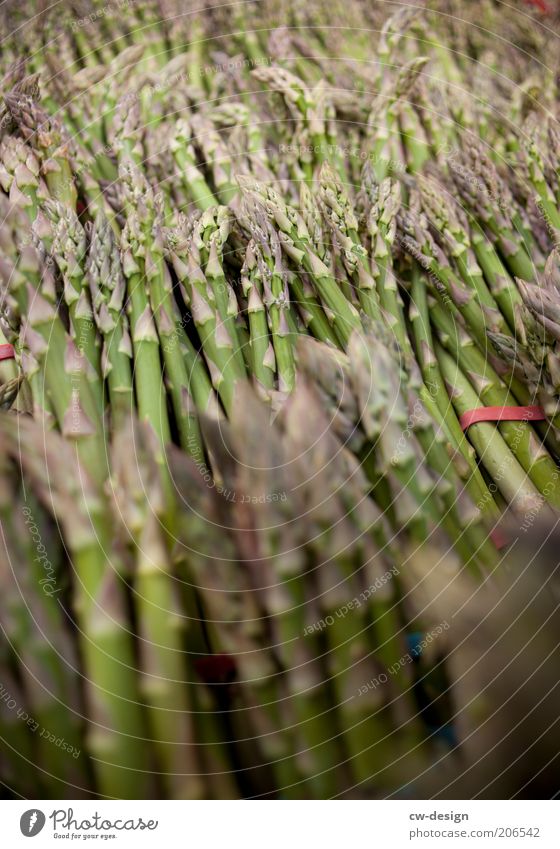 FRESH ASPARAGUS Lebensmittel Gemüse Spargel Pflanze Pflanzenteile Spargelzeit Spargelbund Spargelkopf Spargelernte Ernährung Bioprodukte Vegetarische Ernährung