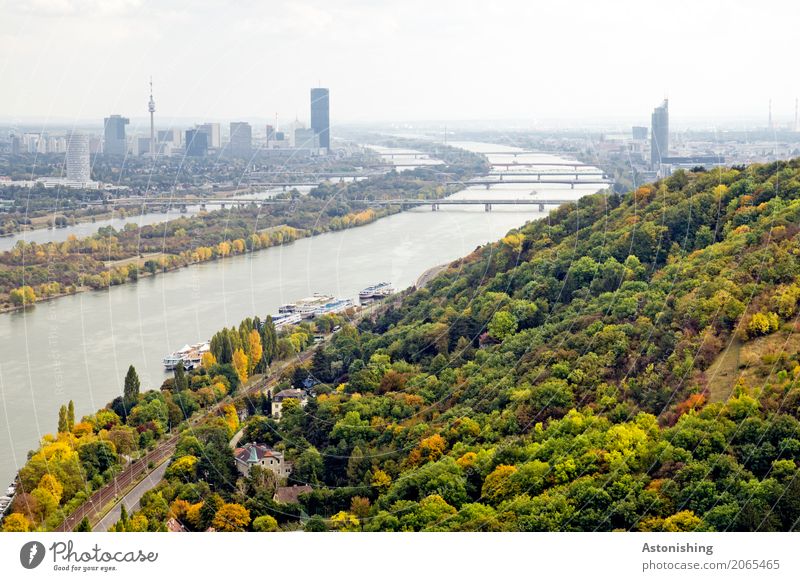 an der Donau Umwelt Natur Landschaft Pflanze Wasser Himmel Horizont Frühling Wetter Baum Wald Flussufer Insel Donauinsel Wien Österreich Stadt Hauptstadt