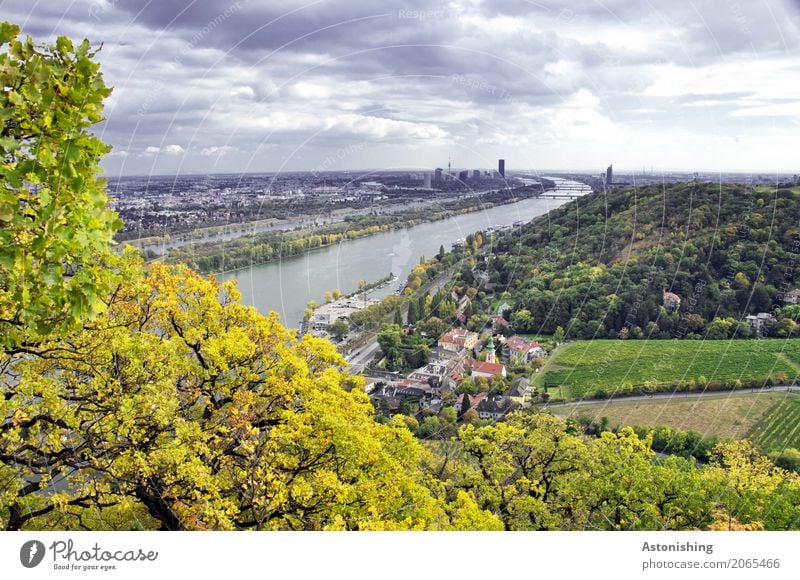 Wien in der Ferne Umwelt Natur Landschaft Pflanze Wasser Himmel Wolken Gewitterwolken Horizont Wetter schlechtes Wetter Unwetter Baum Blatt Wald Hügel Flussufer