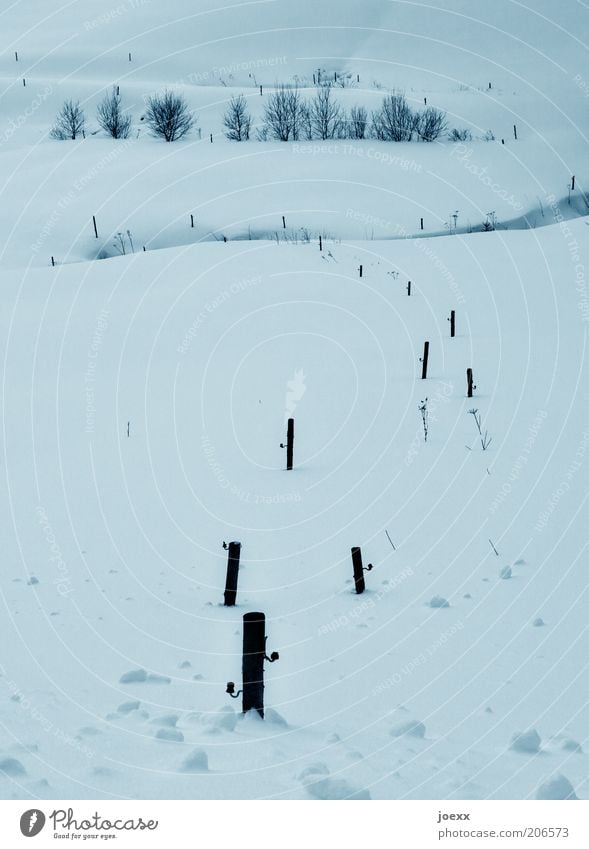 Kalt Natur Landschaft Winter Schnee Feld kalt natürlich ruhig Einsamkeit Idylle Schneelandschaft Pfosten Farbfoto Gedeckte Farben Außenaufnahme Tag