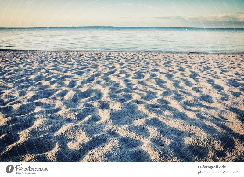 Angeschwemmter Sternenstaub Ferien & Urlaub & Reisen Ferne Freiheit Sommer Sommerurlaub Strand Meer Wellen Natur Landschaft Urelemente Sand Wasser Himmel