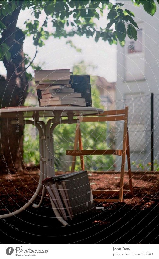 Plein-Air-Studieren II Bildung Schule lernen Studium Büroarbeit Arbeitsplatz Schönes Wetter Pflanze Blume Sträucher Idylle Tisch Klappstuhl Garten Gartenzaun