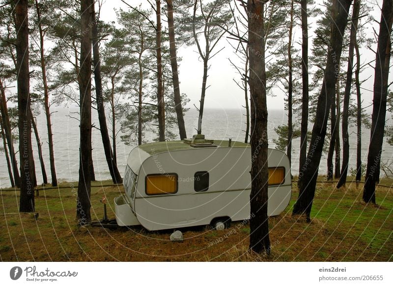 Waldcamper Freizeit & Hobby Ferien & Urlaub & Reisen Ferne Freiheit Camping Meer Raum Ruhestand Natur Landschaft Pflanze Erde Himmel Horizont Herbst