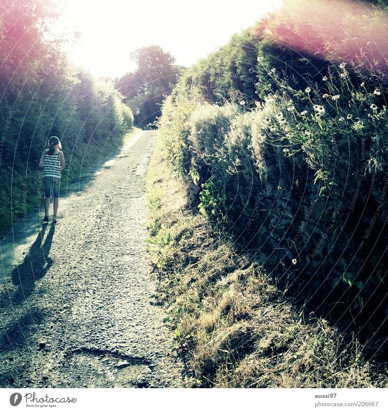 Walton's Mountain Schotterweg Gegenlicht Fußweg Mädchen Jugendliche gehen Kind Sonne Schönes Wetter Sonnenstrahlen Natur Wege & Pfade grün Pflanze Sträucher