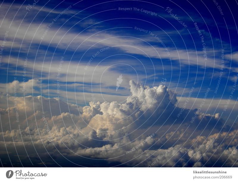 Wolken Luft nur Himmel Schönes Wetter blau Leichtigkeit Farbfoto Außenaufnahme Luftaufnahme Menschenleer Tag Vogelperspektive Blauer Himmel weiß