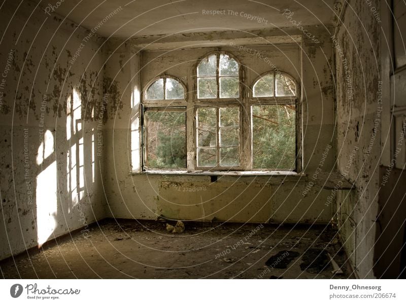 Beelitz Sonnenstrahlen Sonnenlicht Schönes Wetter Menschenleer Ruine Gebäude Architektur Mauer Wand Fenster Stein Holz alt dreckig gruselig hell trist braun