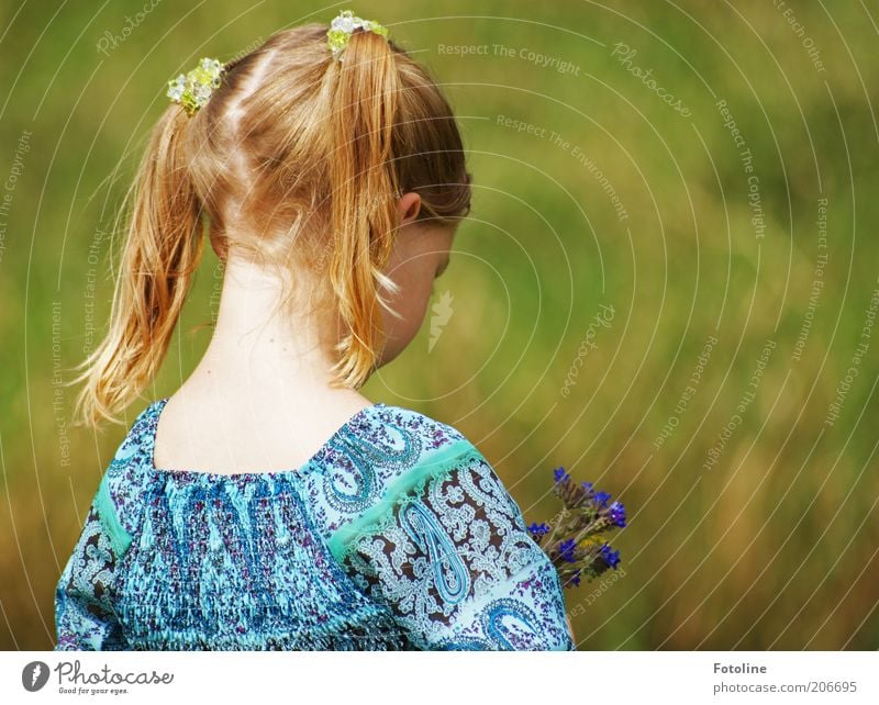 Blümchen für Mama Mensch Kind Mädchen Kindheit Kopf Haare & Frisuren Rücken Umwelt Natur Pflanze Sommer Wärme Blume Blüte Wildpflanze hell natürlich Zopf Hals